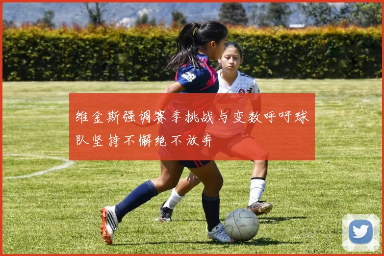 维金斯强调赛季挑战与变数呼吁球队坚持不懈绝不放弃