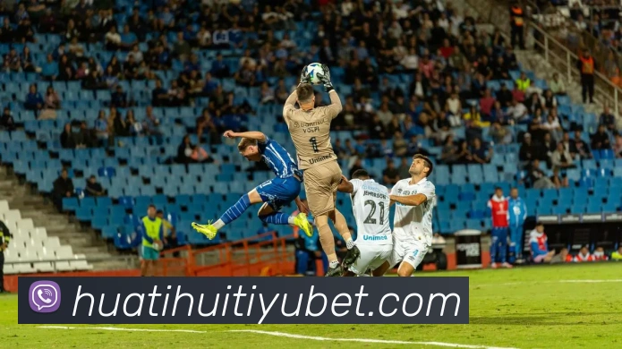 华体会体育APP 封面图